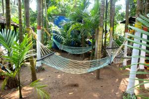 a hammock in the middle of a forest of plants at Ballaleshwar cottage in Alibaug