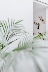Fotografie z fotogalerie ubytování Au Numéro 5 v destinaci Tilff