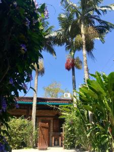 a house with two palm trees in front of it at Chalés Água Grande in Maresias