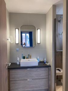łazienka z umywalką i lustrem w obiekcie Presqu île de la touques deauville N 3404 w mieście Deauville