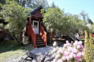 Cabaña pequeña con escalera y árboles en Cozy Cabin Centrally Located Close To Walking Trails And Beaches!, en Ucluelet
