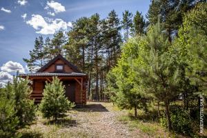 una cabaña de madera en el bosque con árboles en Domki Letniskowe Swornegacie - grill klimatyzacja WiFi monitoring en Swornegacie 