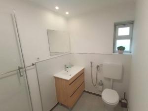 a bathroom with a sink and a toilet and a mirror at Ginjals-67 in Almargem do Bispo