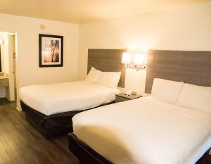 um quarto de hotel com duas camas e duas lâmpadas em Exacta Inn em Minden