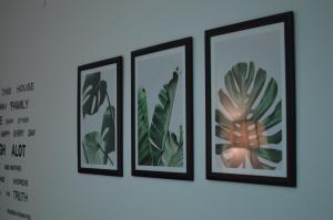 four framed pictures of plants on a wall at Pacific House in Foligno