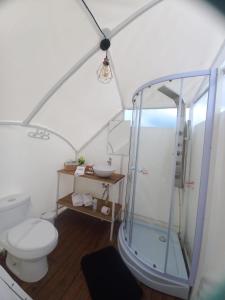 La salle de bains est pourvue d'une douche et de toilettes. dans l'établissement Origen Glamping en Villa de Leyva, à Villa de Leyva