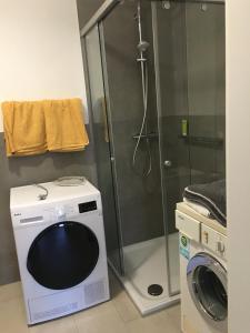 バート・ノイェンアール・アールヴァイラーにあるFerienwohnung kleine Auszeitのバスルーム(洗濯機、シャワー付)