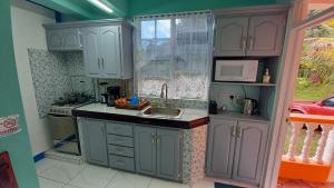 cocina con armarios grises, fregadero y ventana en Cozy vacation retreat with free parking en Roseau