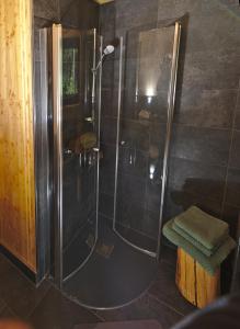 a shower with a glass door in a bathroom at Baumwipfel-Resort "Lug ins Land" in Ilsenburg