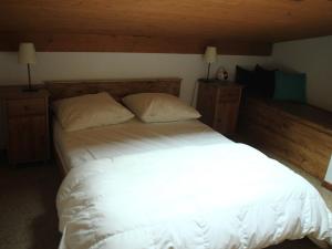 Una cama o camas en una habitación de Appartement Châtel, 2 pièces, 4 personnes - FR-1-200-278