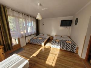 ザコパネにあるWilla Strumykのベッド2台、薄型テレビが備わる客室です。
