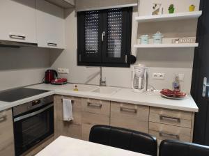 Kuchyň nebo kuchyňský kout v ubytování Danais Guesthouse