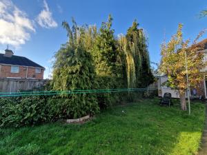 a large tree in a yard next to a fence at Shergold Rooms in Swindon