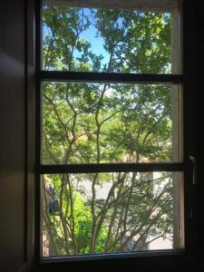 a window with a view of a tree at The Gulf Sailor's Cottage - Lago Maggiore in  Monvalle 