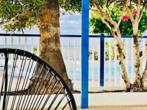 a bench sitting next to a tree next to a fence at Canaryislandshost l Sal de Mar in Puerto del Carmen