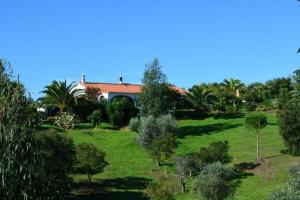 una casa en medio de un campo con árboles en Quinta Do Grilo, en Amoreiras