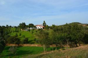 una casa en la cima de una colina verde con árboles en Quinta Do Grilo, en Amoreiras