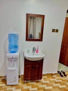 a bathroom with a sink and a trash can at Ruyer one bedroom in Kisumu