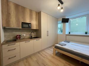 Kuchyň nebo kuchyňský kout v ubytování Modern guest house in city center I Room 3