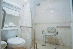 La salle de bains blanche est pourvue d'une douche et de toilettes. dans l'établissement Hotel del Parque, à Matehuala
