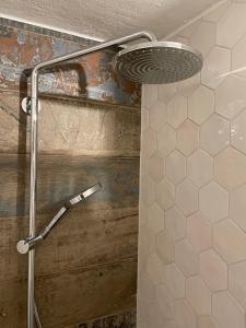 y baño con ducha con cabezal de ducha. en May-Apartment Köln zentrale Ferienwohnung, en Colonia