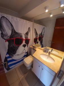 a bathroom with a dog wearing sunglasses in a mirror at Parador del Mar Marbella Maitencillo in Maitencillo
