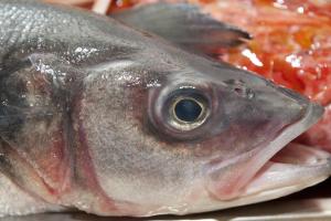 a fish sitting on top of a table at Nascar Hotel in Santa Maria Navarrese