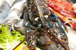 a lobster sitting on top of a plate of food at Nascar Hotel in Santa Maria Navarrese