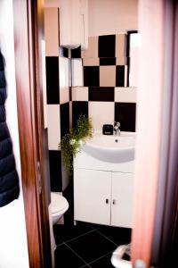 a bathroom with a sink and a toilet at Studio Leena in Sibiu