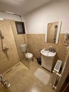 een badkamer met een douche, een toilet en een wastafel bij Casa Moșoiu in Bran