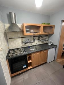 kuchnia z kuchenką i zlewem w obiekcie :: Apartment City Center :: w Warszawie