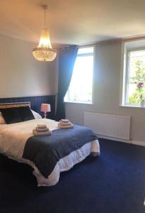 a bedroom with a large bed with blue carpet at Escape To The Country @ Bron Offa Bach in Coedpoeth