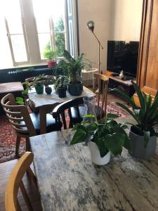 Televízia a/alebo spoločenská miestnosť v ubytovaní Grand appartement dans belle maison avec jardin