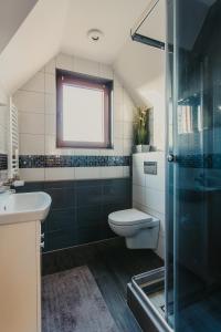 a bathroom with a toilet and a sink and a shower at Chatka u Stanka z bilardem , sauną i jacuzzi in Biały Dunajec