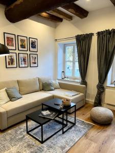 Donaublick Apartment في باساو: غرفة معيشة مع أريكة وطاولة