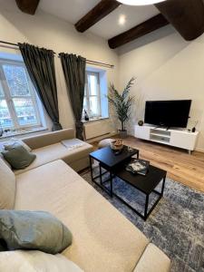 a living room with a couch and a tv at Donaublick Apartment in Passau