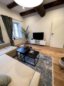 a living room with a couch and a table at Donaublick Apartment in Passau