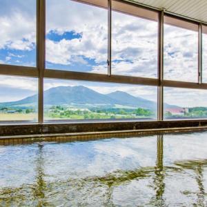 a swimming pool with a view of mountains at Kyukamura Hiruzen-Kogen in Maniwa