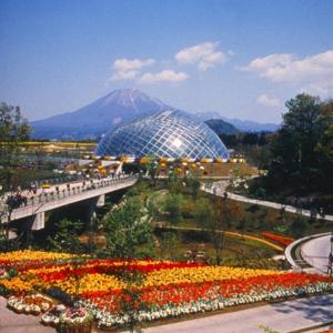 山景或在酒店看到的山景