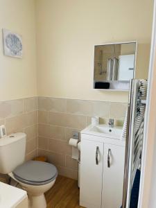 a bathroom with a toilet and a sink and a mirror at Heights View Apartment in Derry Londonderry
