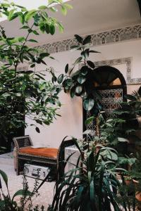 Zahrada ubytování Riad Maison 24