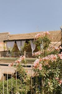 Zahrada ubytování Riad Maison 24