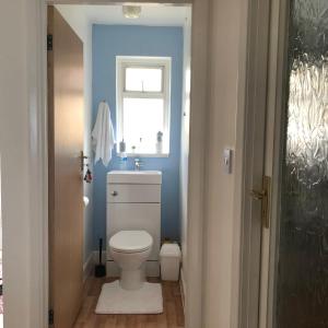a bathroom with a white toilet and a window at Ponders End in Shide
