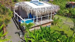 una vista aérea de una casa con techo de paja en Caraibes insolite, en Sainte-Luce