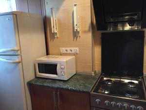 キスロヴォツクにあるApartment Mira 8の小さなキッチン(電子レンジ、冷蔵庫付)