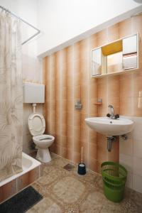 ein Bad mit einem WC, einem Waschbecken und einer Dusche in der Unterkunft Apartment Rogoznica 7558a in Rogoznica