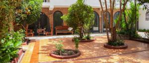 een binnenplaats met bomen en een bank in een gebouw bij Huaraz Colonial in Huaraz