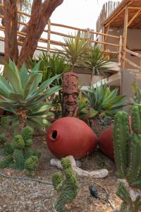 a garden with plants and a statue of a head at Hotel El Huacachinero in Ica