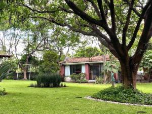 uma casa com uma árvore num quintal em Casa Bienteveo 15 min de Cuernavaca, 23 personas em Tezoyuca