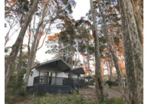 a small house in the middle of a forest at Discovery Parks - Narooma Beach in Narooma